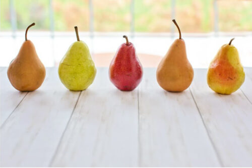 different colored pears