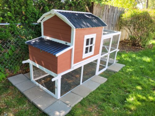 backyard chicken coop