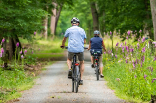 Two men bike riding on nature path