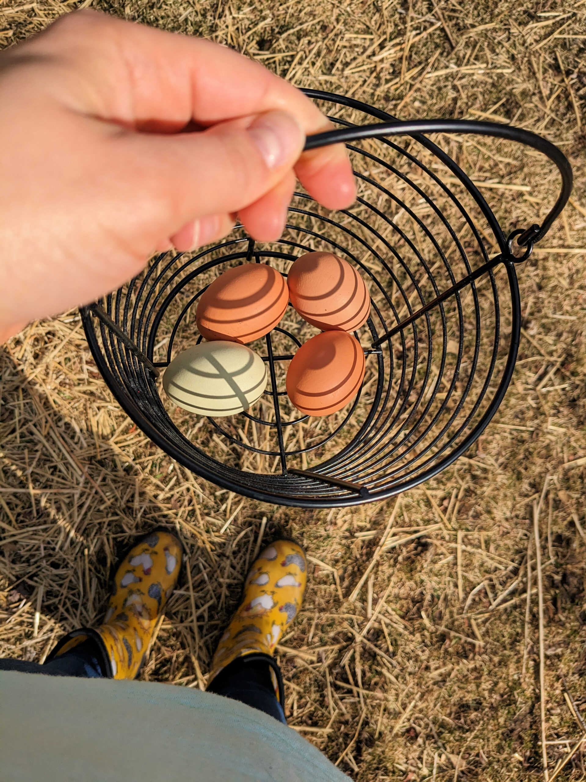 Holding a basket of eggs