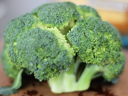 head of fresh broccoli